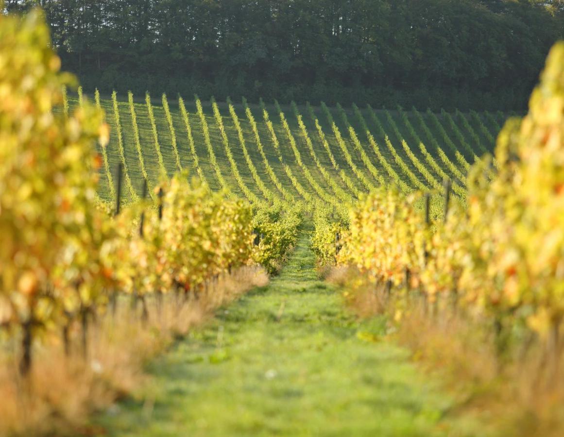 Denbies Vineyard Hotel Dorking Kültér fotó