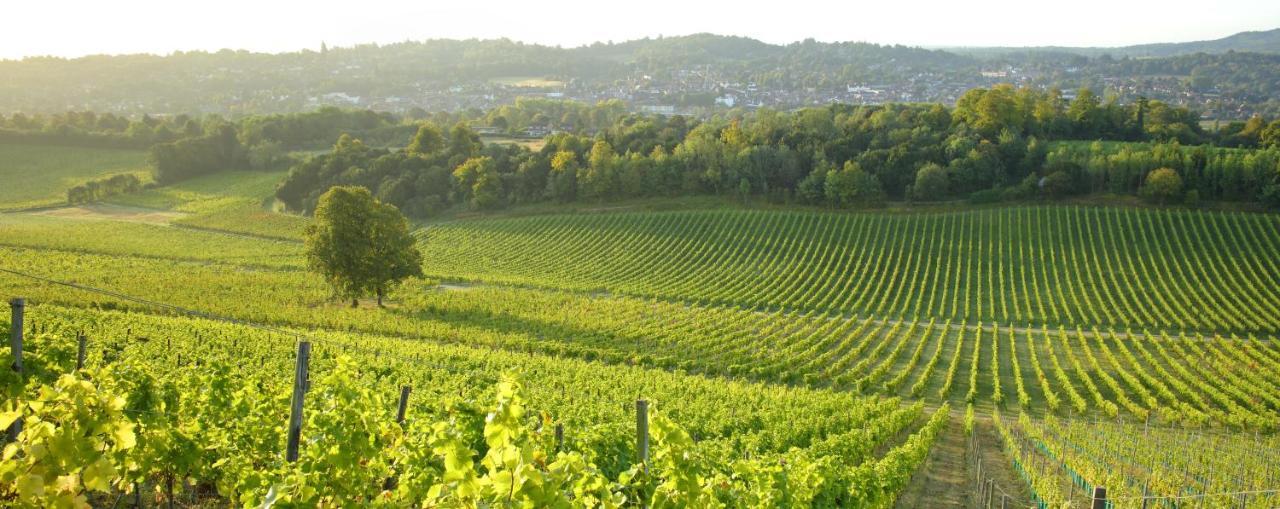 Denbies Vineyard Hotel Dorking Kültér fotó