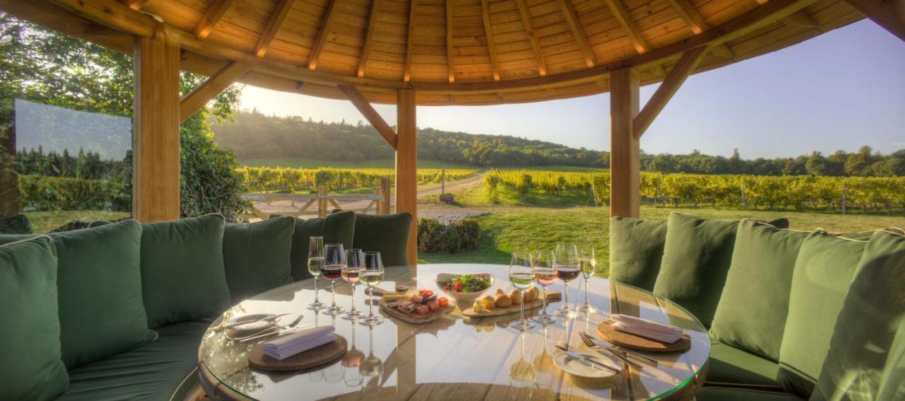 Denbies Vineyard Hotel Dorking Kültér fotó