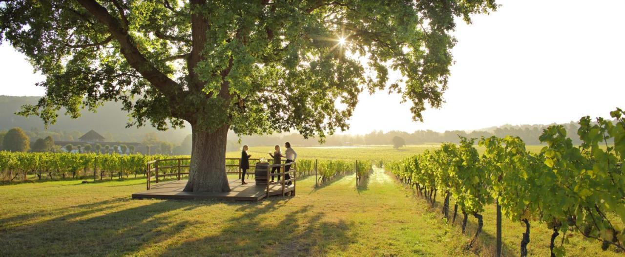 Denbies Vineyard Hotel Dorking Kültér fotó