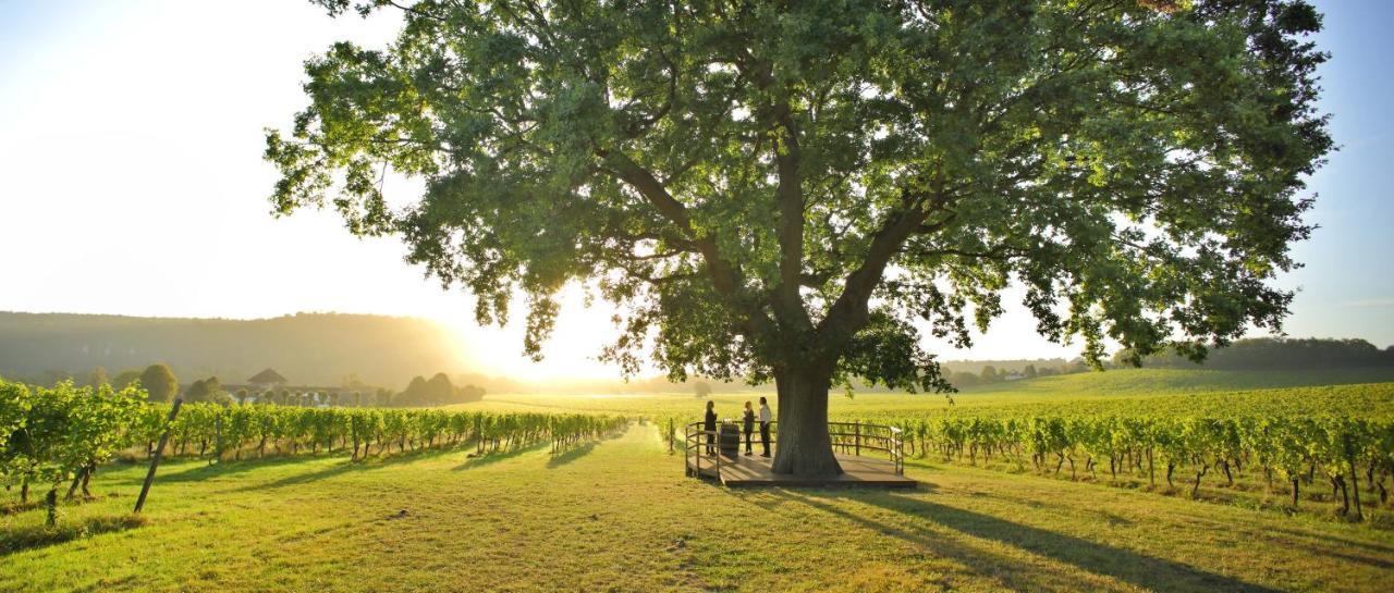Denbies Vineyard Hotel Dorking Kültér fotó