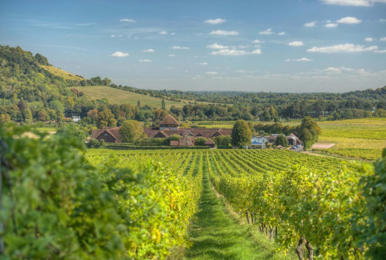 Denbies Vineyard Hotel Dorking Kültér fotó